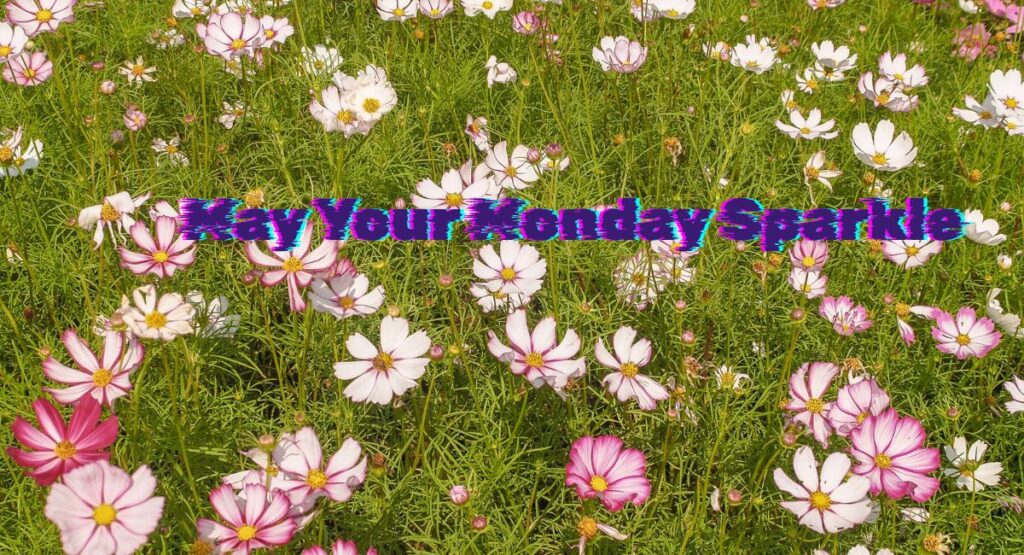Monday Blessings GIF And Captions