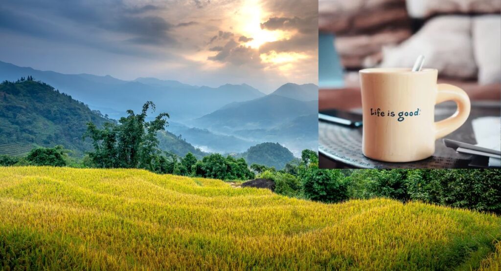 Serene Deep Meaningful Life Quotes To Start Your Day