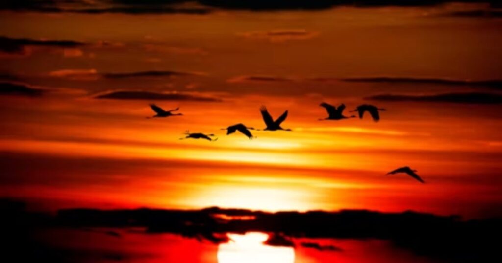 Good Evening Blessing Images